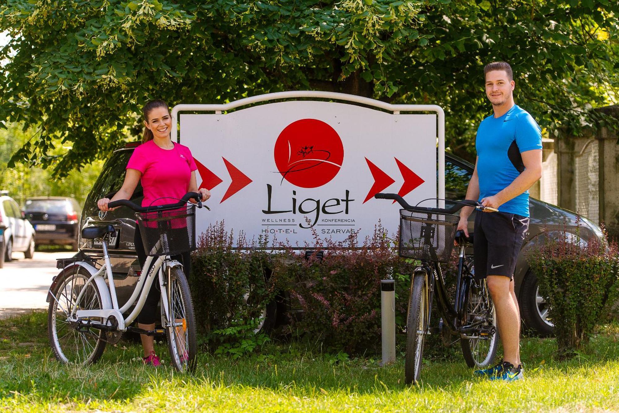 Liget Wellness Es Konferencia Hotel Сарвас Екстериор снимка